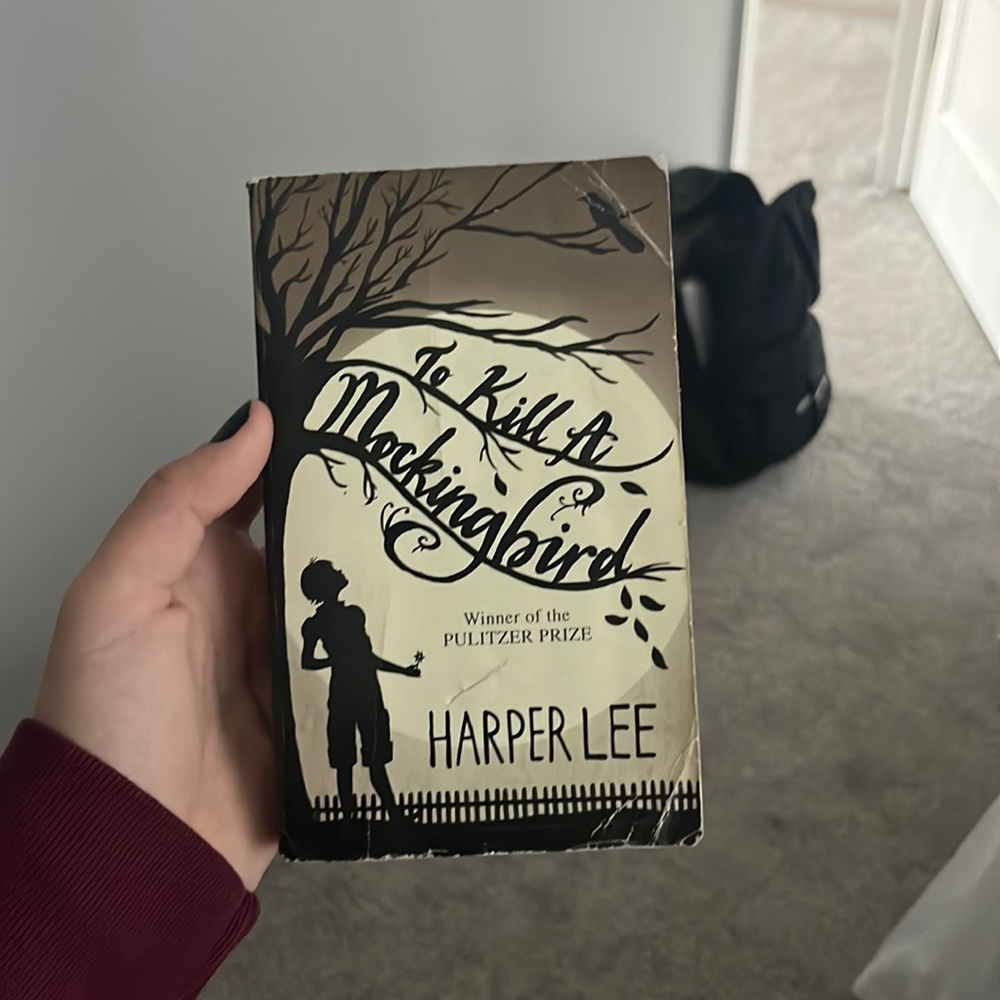 to kill a mocking bird (book)